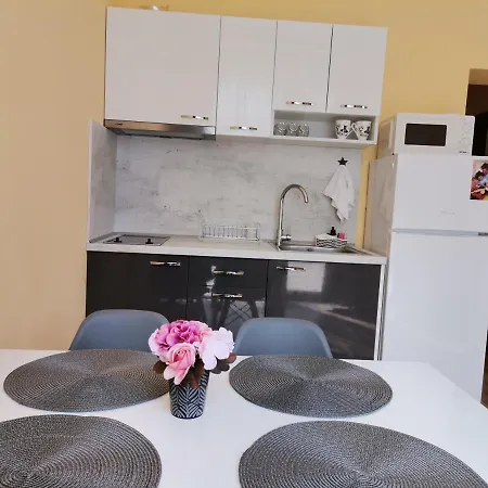 Family 3 Amadeus Lux サニービーチ